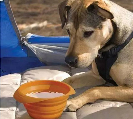 東莞<a href='http://www.efla.cn/' class='keys' title='點擊查看關(guān)于帝博硅膠制品廠的相關(guān)信息' target='_blank'>帝博硅膠制品廠</a>